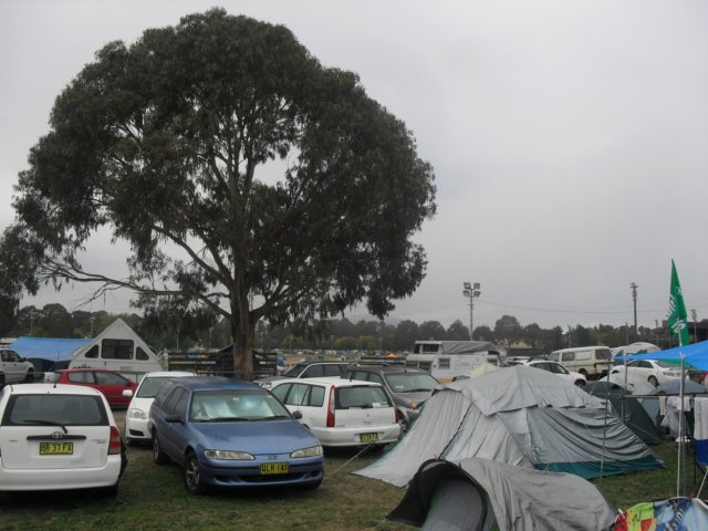 sdc17262.jpg