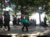 sdc16993_small.jpg