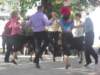 sdc16995_small.jpg