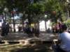 sdc17041_small.jpg