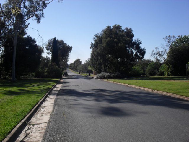 sdc15989.jpg