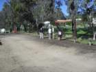 sdc16016_small.jpg