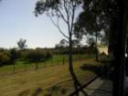 sdc16031_small.jpg