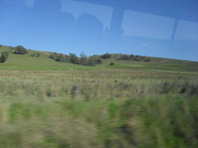 sdc16037.jpg
