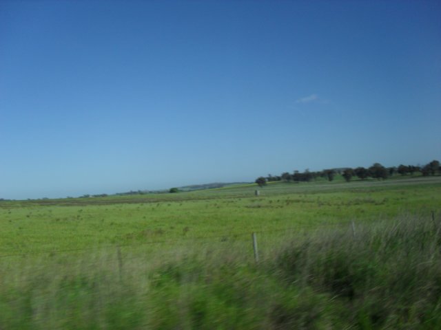 sdc16038.jpg