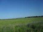 sdc16038_small.jpg