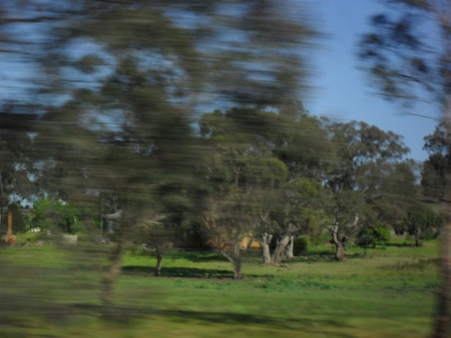 sdc16039.jpg