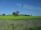 sdc16040_small.jpg