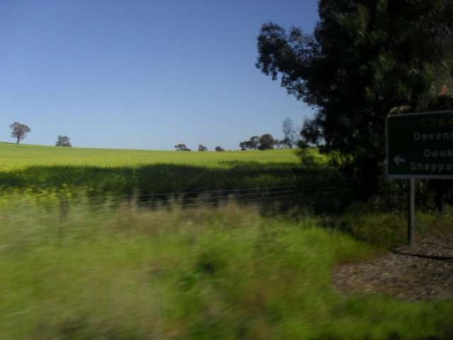 sdc16041.jpg