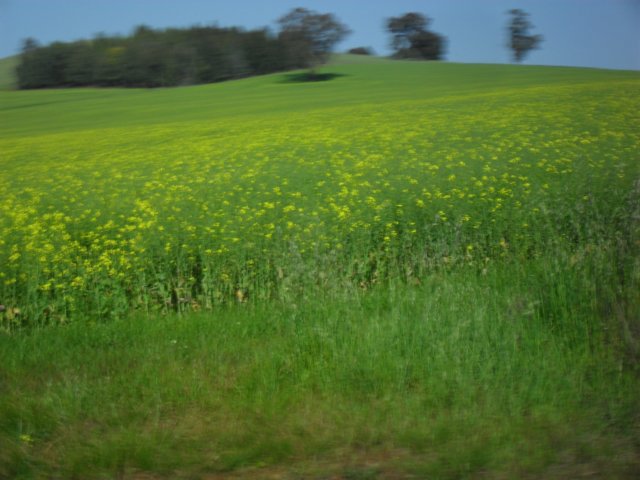 sdc16042.jpg