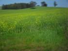 sdc16042_small.jpg