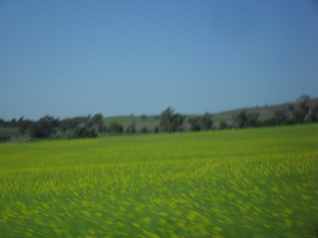 sdc16043.jpg
