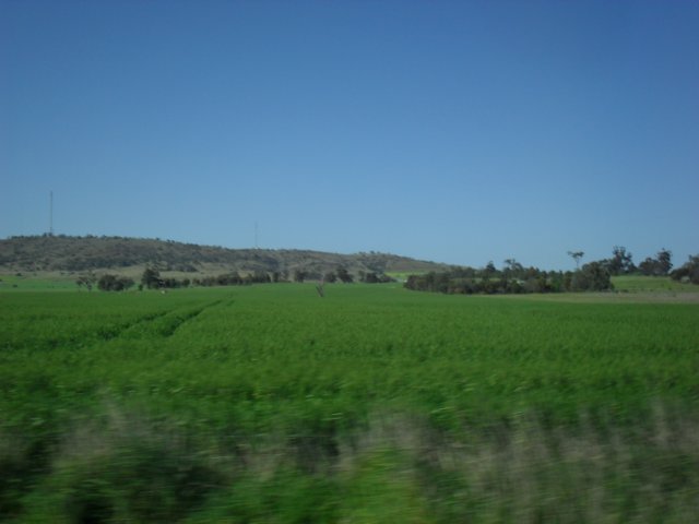 sdc16044.jpg